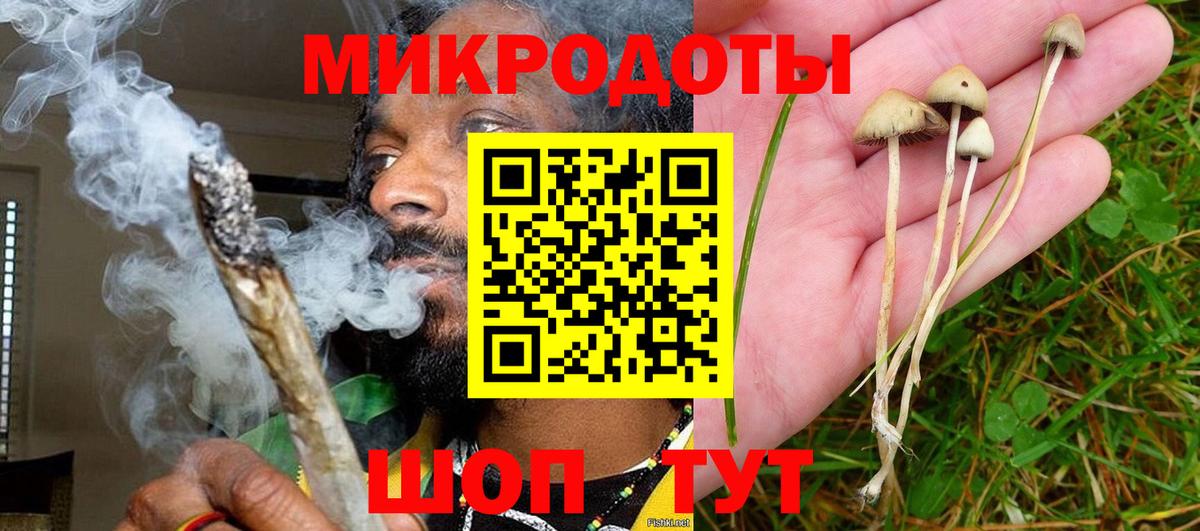 Псилоцибиновые грибы мицелий Саянск